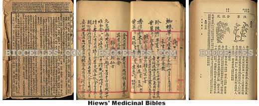 HIEWS' 100-year old medicinal bible