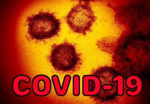 Covid-19 coronaviruses