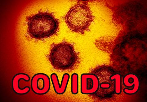 COVID-19 COVID19 BioDSS high demand