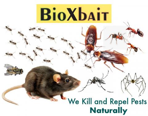 BioXbait products - eliminate and kill pests